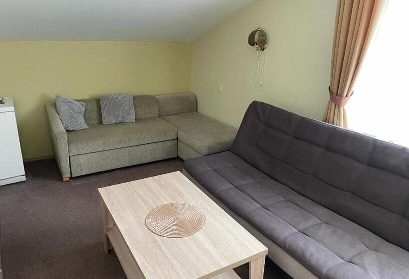 اتاق خانوادگی, Medziotoju Kiemelis