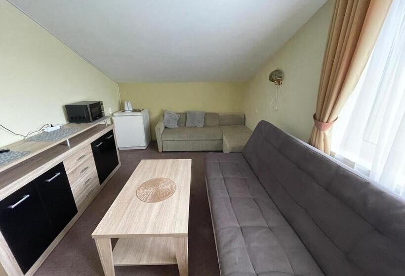 اتاق خانوادگی, Medziotoju Kiemelis