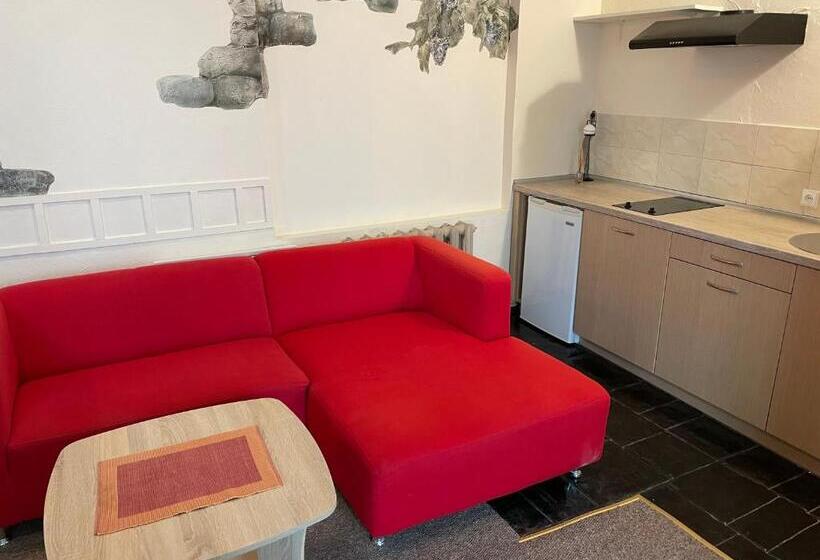 استودیوی استاندارد, Medziotoju Kiemelis