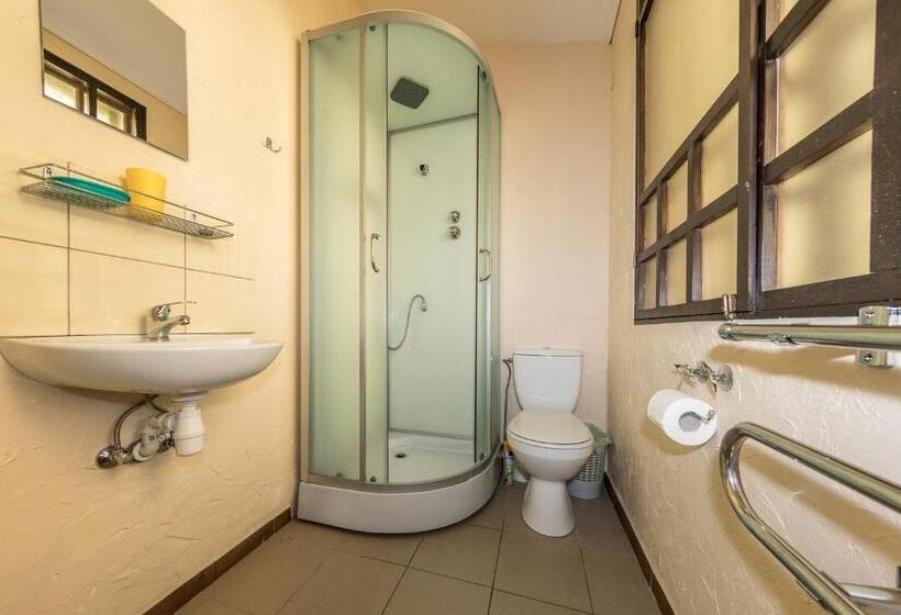 استودیوی استاندارد, Medziotoju Kiemelis