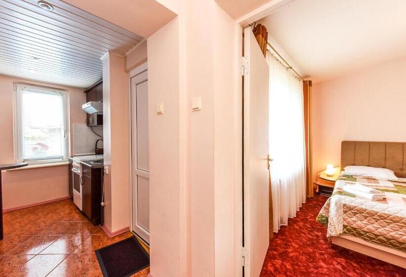 آپارتمان 1 خوابه, Medziotoju Kiemelis