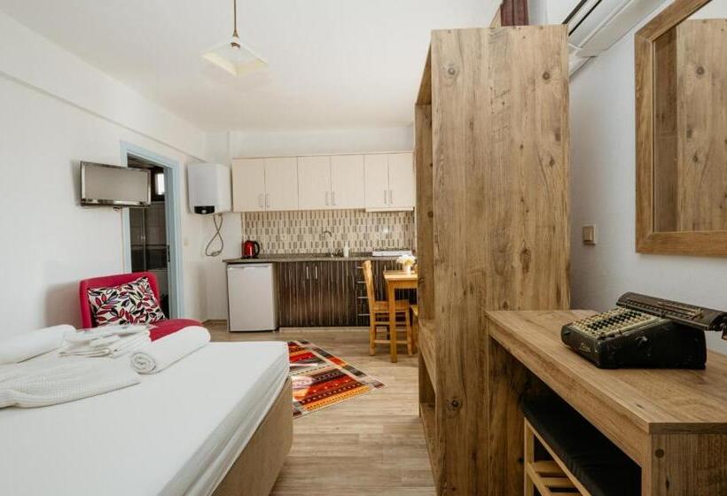 带观景的标准工作室, Azra Apart & Otel