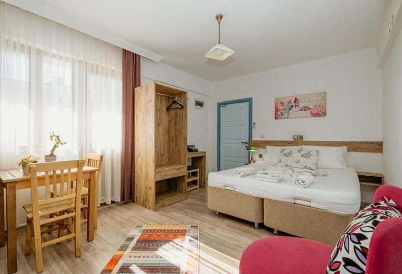 带观景的标准工作室, Azra Apart & Otel