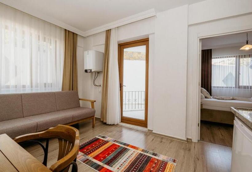 低层单卧公寓, Azra Apart & Otel