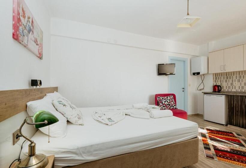 带观景的标准工作室, Azra Apart & Otel