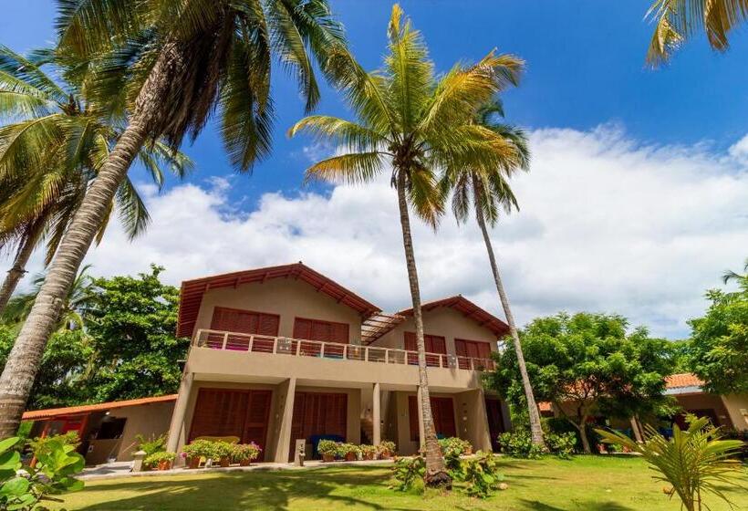 اتاق سوپریور, Chiniu