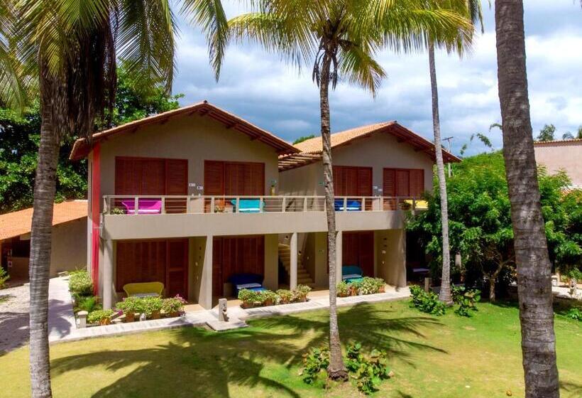 اتاق سوپریور, Chiniu