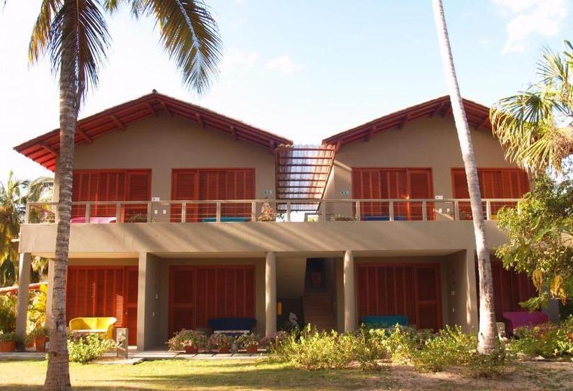 اتاق سوپریور, Chiniu