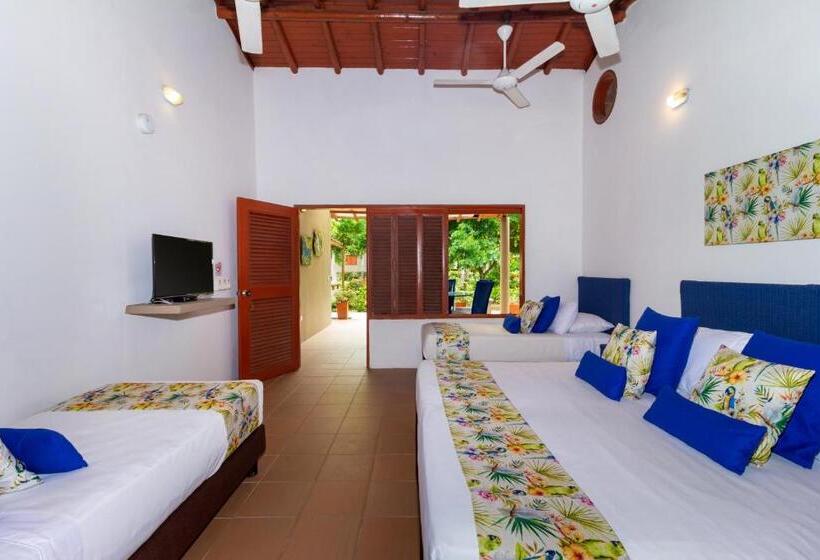 اتاق خانوادگی, Chiniu