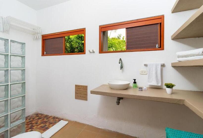 اتاق سوپریور خانوادگی, Chiniu