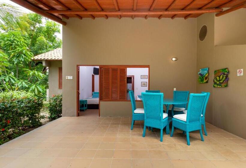 اتاق سوپریور خانوادگی, Chiniu