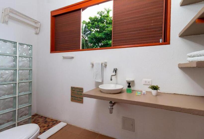 اتاق استاندارد سه نفره, Chiniu