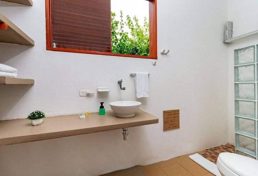 اتاق سوپریور, Chiniu