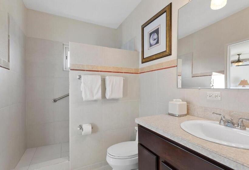 آپارتمان 1 خوابه, Turtle's Nest Beach Resort