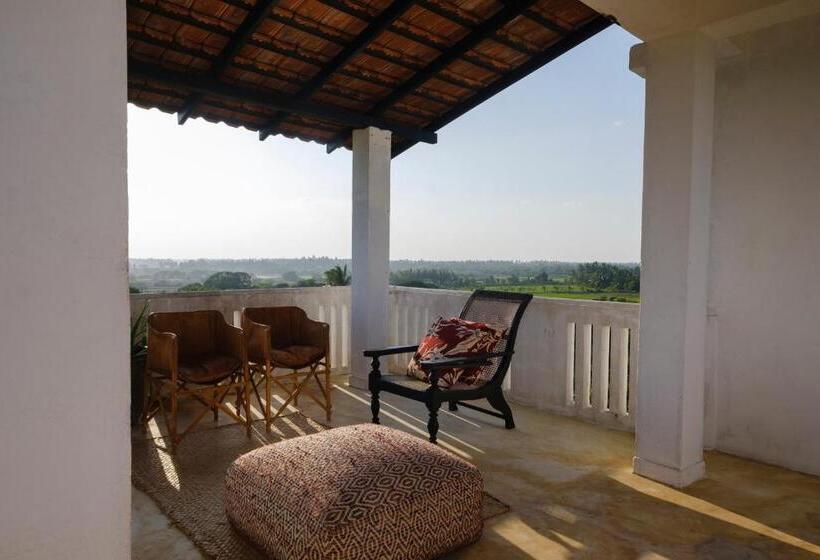 Standardzimmer, Treasure Rock