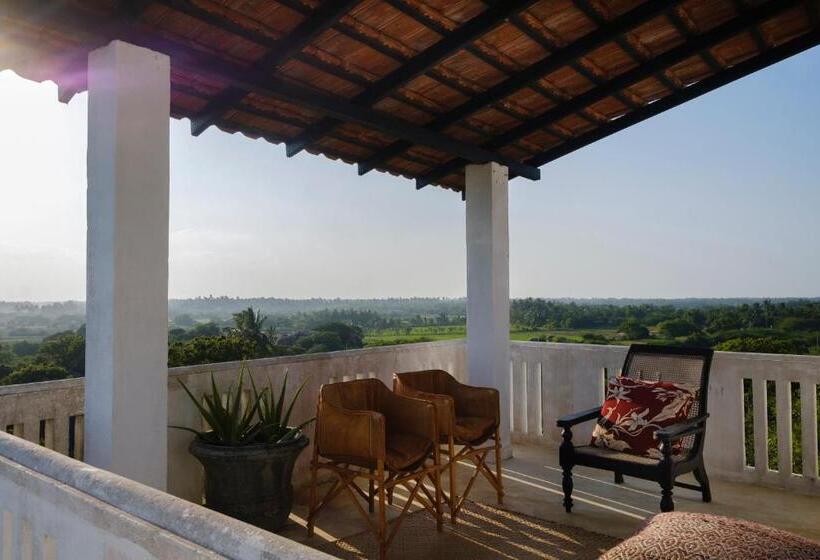 Standardzimmer, Treasure Rock