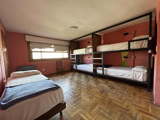 共用房间的床, Pintó Casa Hostel & Bar