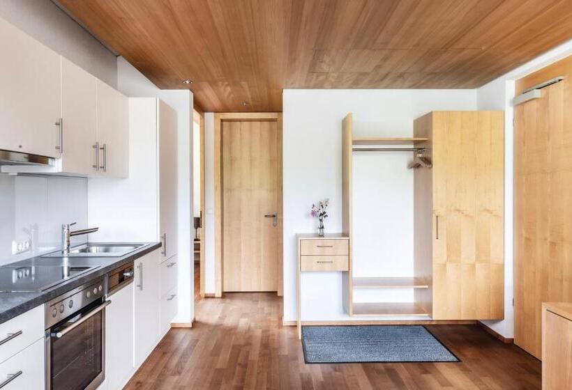 침실 1개 전망 아파트, Schrannenhof