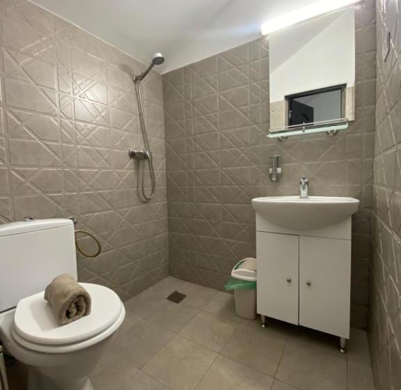 Номер Стандарт, Hanu Satului