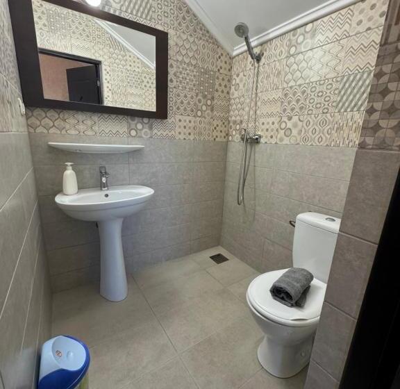 Номер Стандарт, Hanu Satului