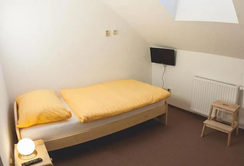 Standard Yhden Hengen Huone, Penzion Vila Machů