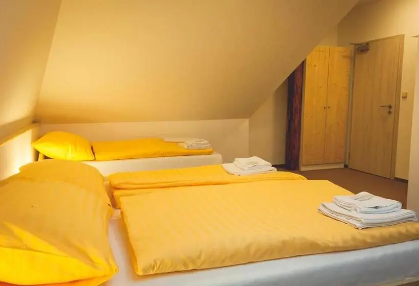Standard Kolmen Hengen Huone, Penzion Vila Machů