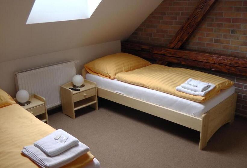 Standard Szoba, Penzion Vila Machů