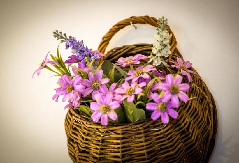 سوئیت جونیور خانوادگی, 杏竹斋客栈