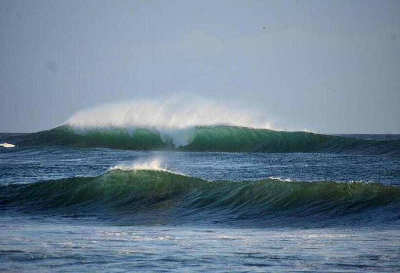 四人标准间, Vibra Guesthouse