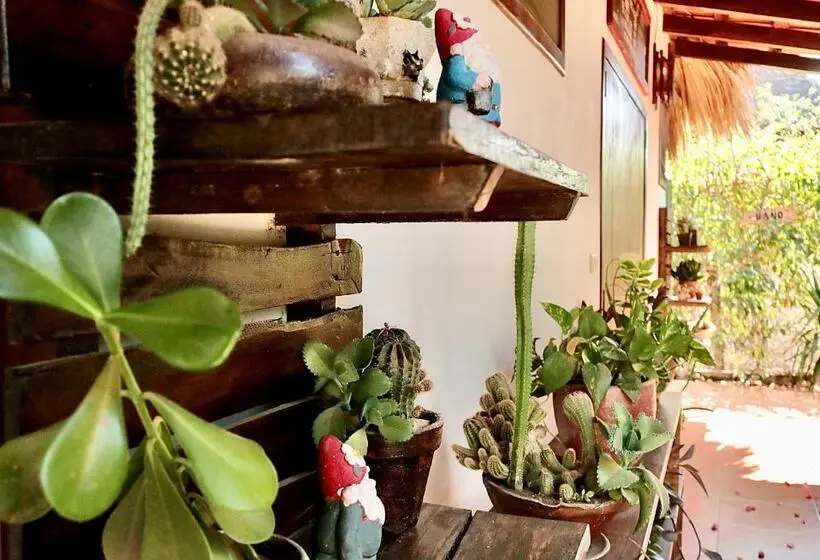 テラス付き1ベッドルームアパートメント, Vibra Guesthouse