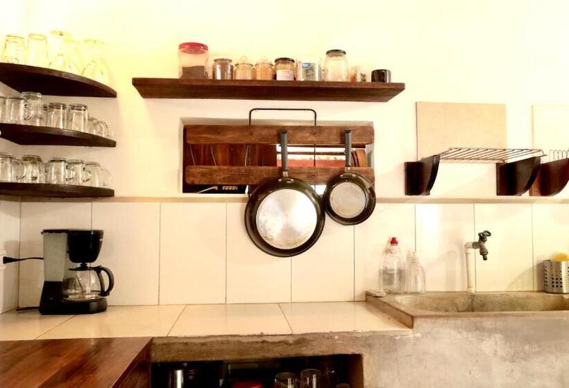 Апартаменты 1 Спальня с Террасой, Vibra Guesthouse