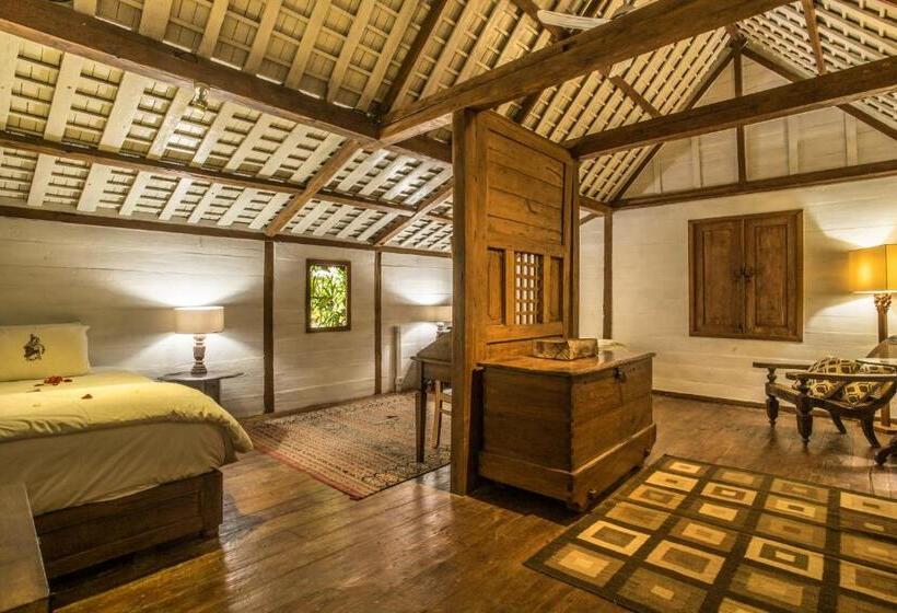 غرفة قياسية, Wayang Retreat