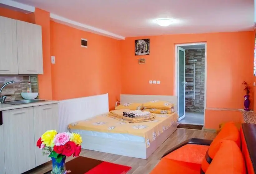 اتاق استاندارد چهار تخته, Danailovi Guest House