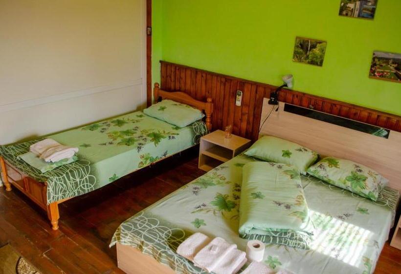 استودیو استاندارد با بالکن, Danailovi Guest House