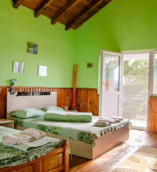 استودیو استاندارد با بالکن, Danailovi Guest House