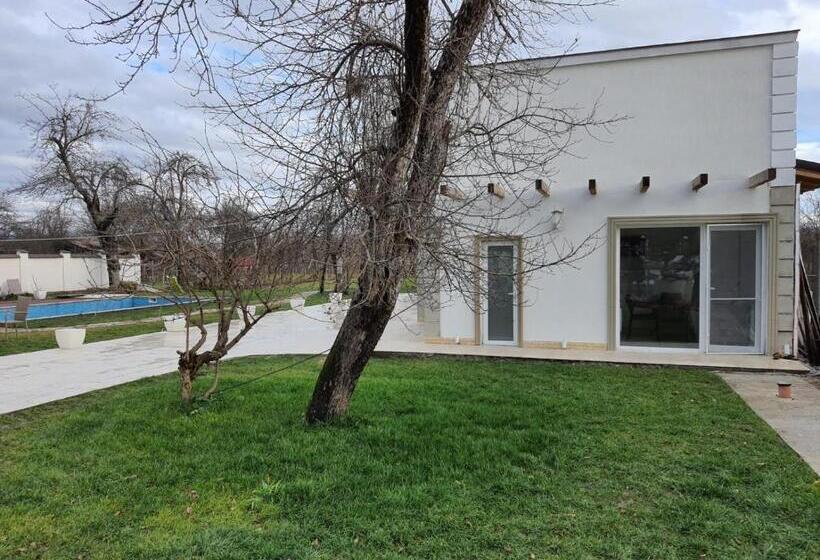 别墅: 1间卧室带游泳池, Pensiunea Groza