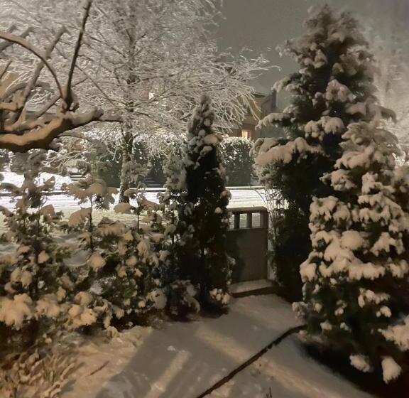 آپارتمان 1 خوابه با تراس, Guest House Mr Fox