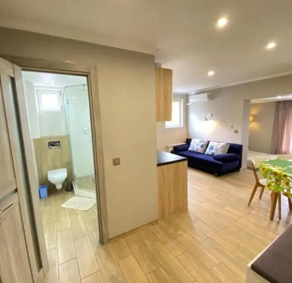 Standard Studio King Bed, Villa Park 411