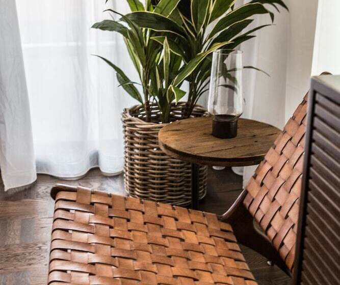 شقة غرفة واحدة, Terreno Studios