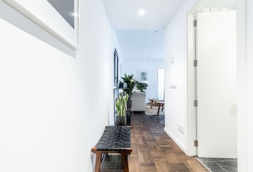 شقة غرفتين, Terreno Studios