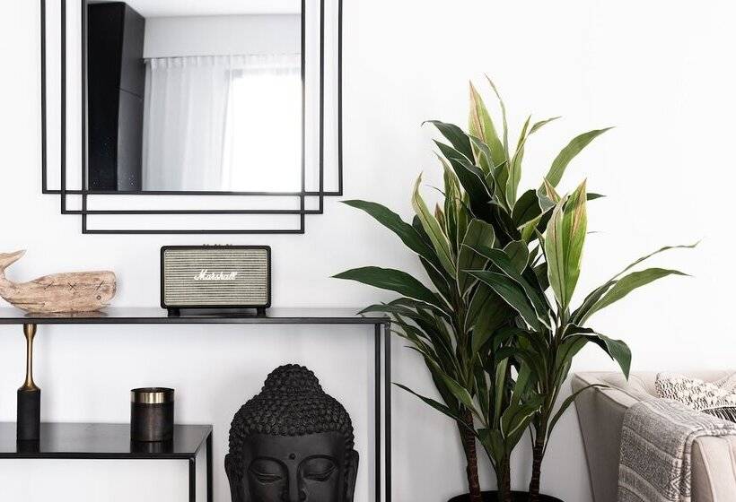 شقة غرفة واحدة, Terreno Studios