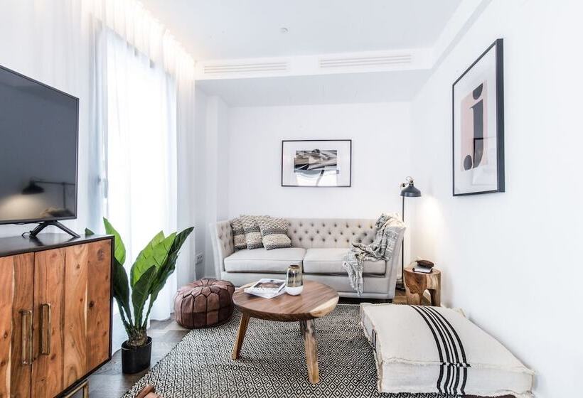 شقة غرفة واحدة, Terreno Studios