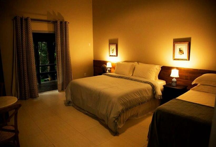 غرفة قياسية ثلاثية, Bosque Da Neblina