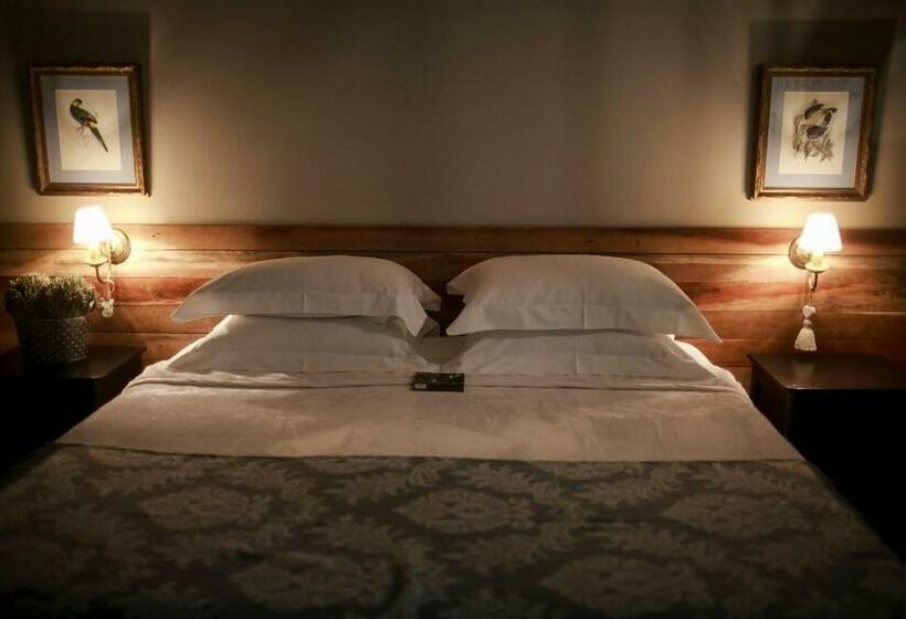 غرفة قياسية, Bosque Da Neblina