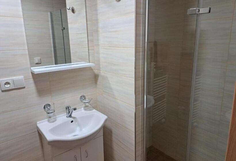 Handikappsanpassat Standard Rum King säng, Penzion Richard