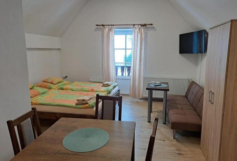 Handikappsanpassat Standard Rum King säng, Penzion Richard