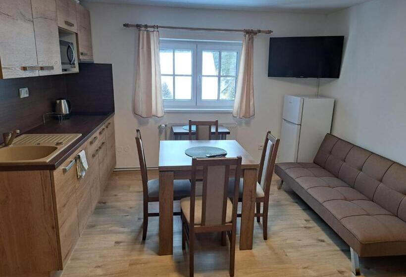 Handikappsanpassat Standard Rum, Penzion Richard