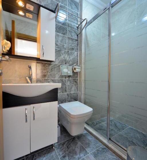 דירת חדר עם טרסה, Asil Apart