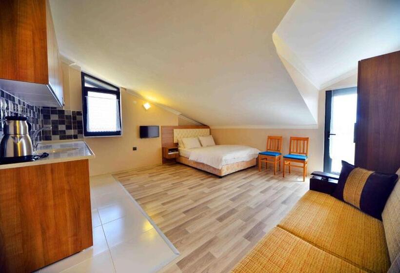 דירת חדר עם טרסה, Asil Apart