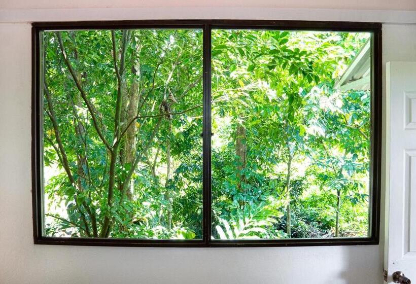 اتاق استاندارد با چشمانداز باغ, Osa De Rio